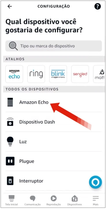 Opção Amazon Echo no app Alexa.