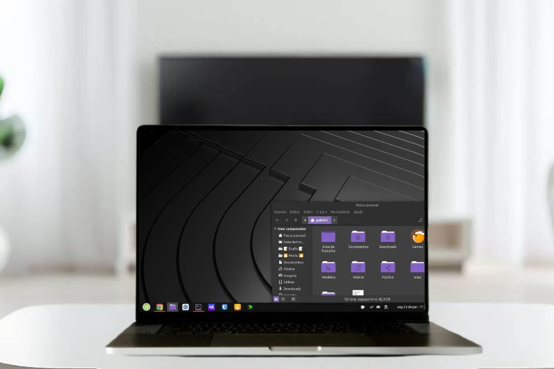 Sistemas operacionais alternativos ao Windows.