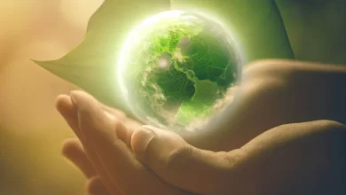 O que é sustentabilidade?
